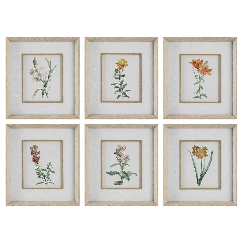 Classic Botanicals Framed Prints Set/6