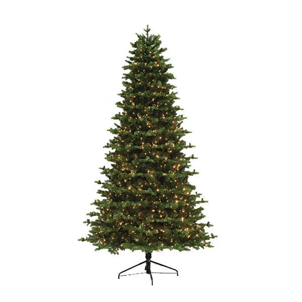 Color - Changing LED String Lights for Christmas DecorAshville Fir Multi-Function Lights 6.5 Ft. Color - Changing LED String Lights for Christmas DecorAshville Fir Multi-Function Lights 6.5 Ft.