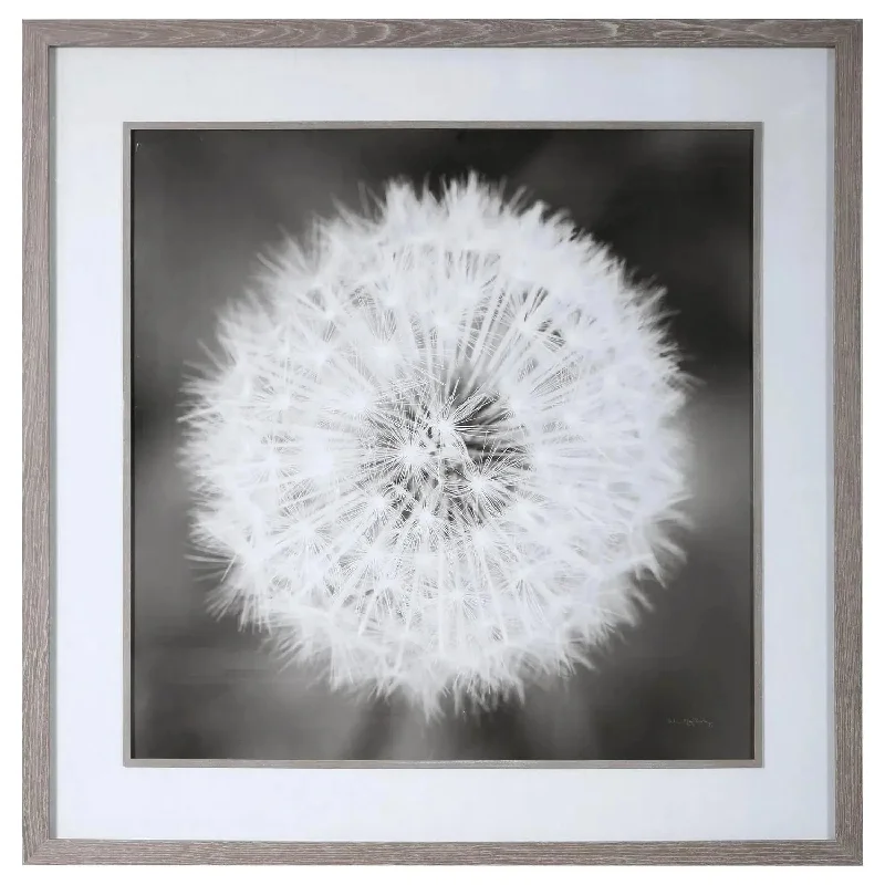 Dandelion Seedhead Framed Print