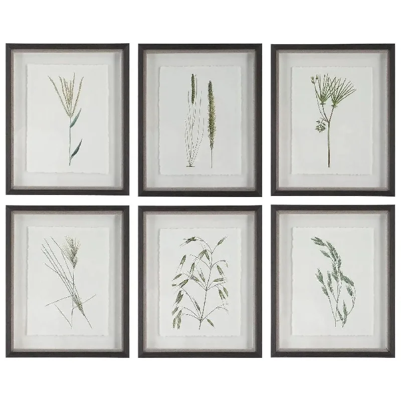 Forest Finds Framed Prints, S/6