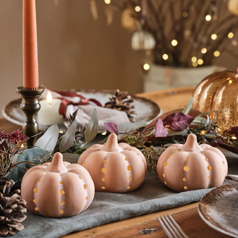 String Lights for Restaurant Outdoor SeatingSet of 3 Terracotta Light Up Pumpkins