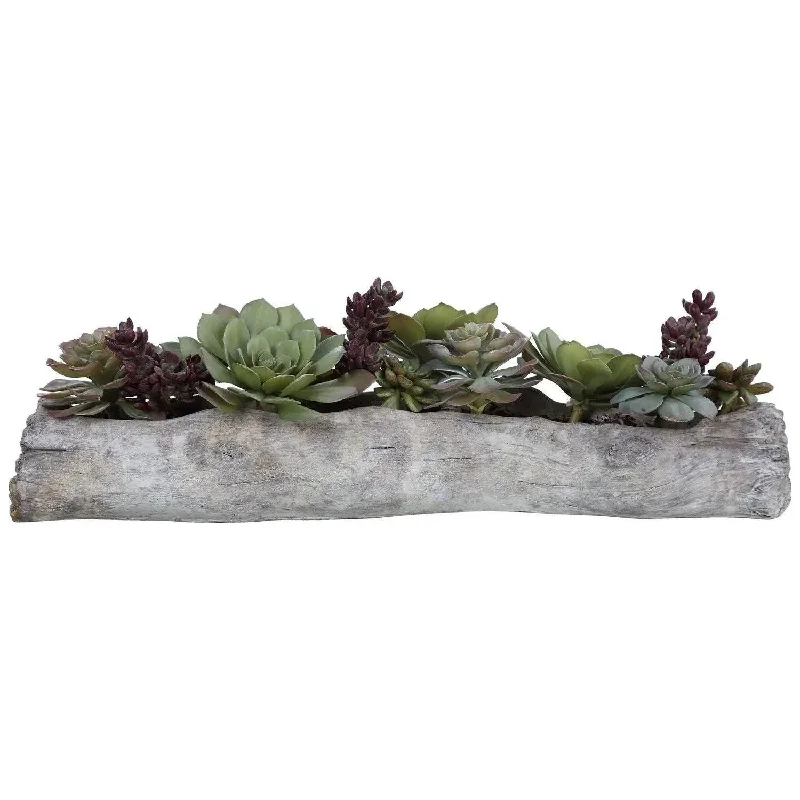 Charita Succulents