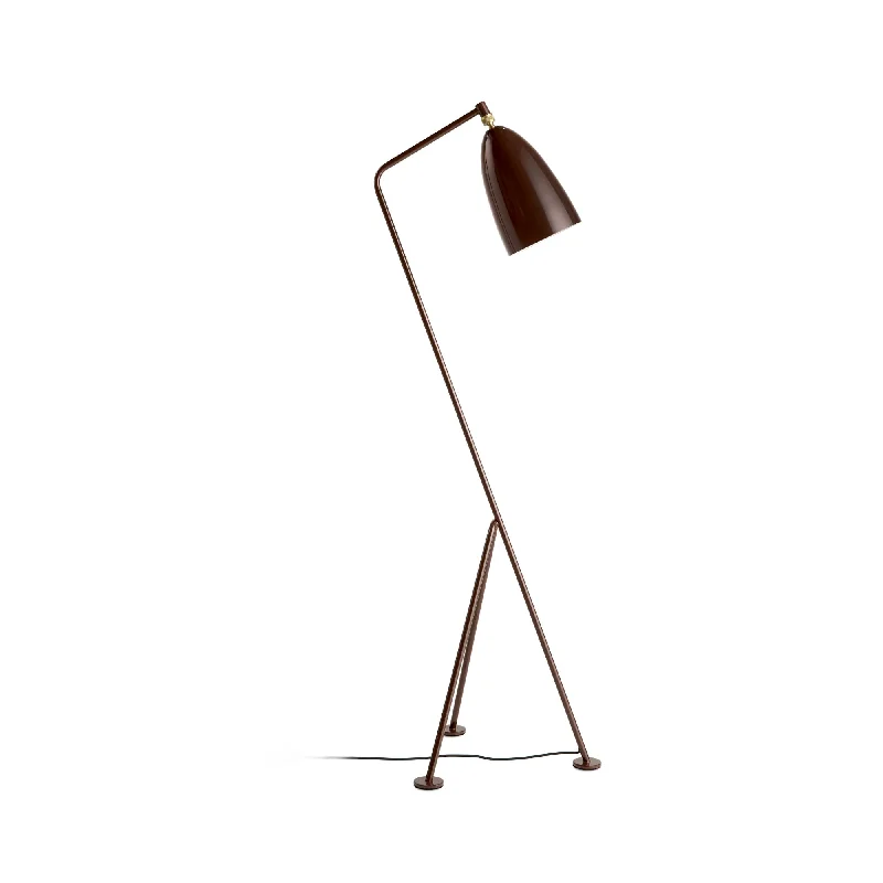 Glass Floor Lamp with Frosted Shades for Soft Diffused LightGrashoppa 10110908 Floor Lamp - Walnut Brown Glossy Glass Floor Lamp with Frosted Shades for Soft Diffused LightGrashoppa 10110908 Floor Lamp - Walnut Brown Glossy